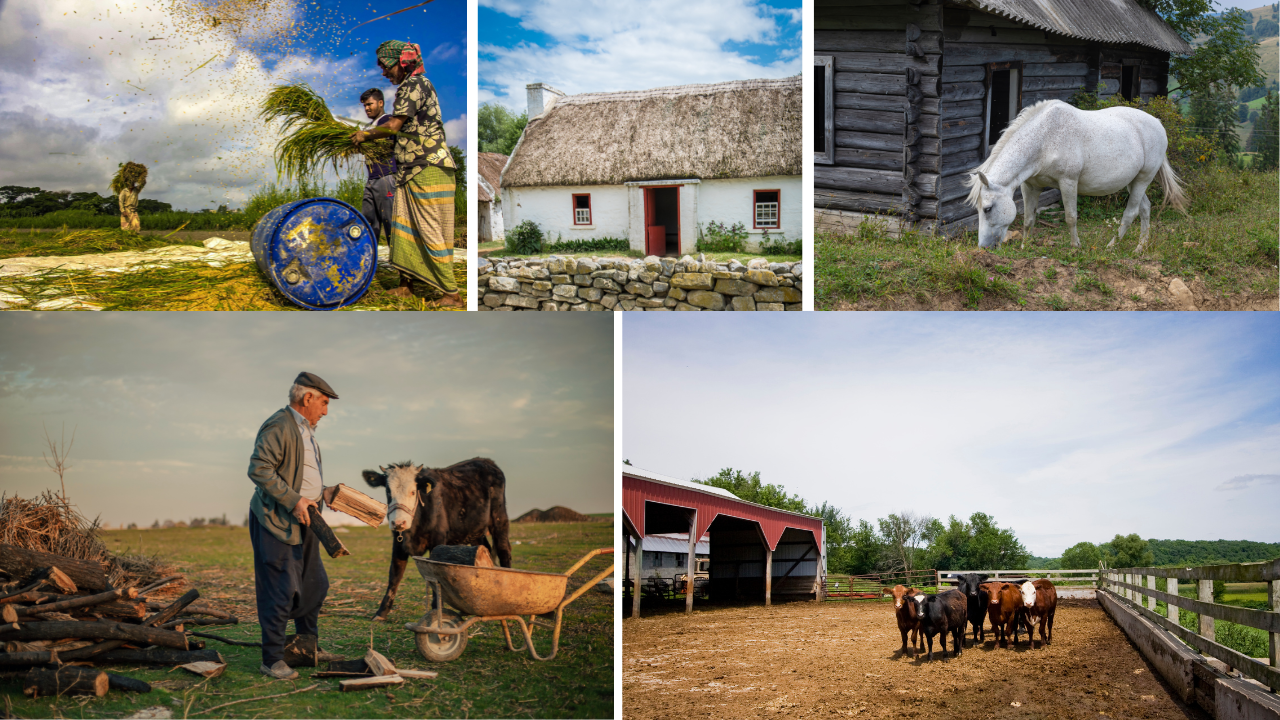 ural lifestyle with traditional farming, peaceful countryside, and scenic village life showcasing farming activities and natural beauty.