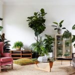 Decoration of Living Room With Plants