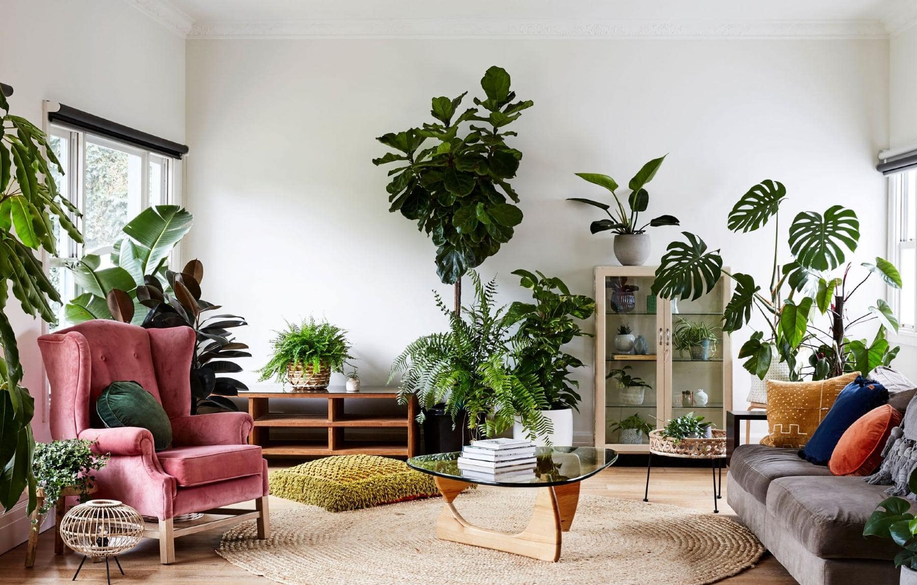 Decoration of Living Room With Plants