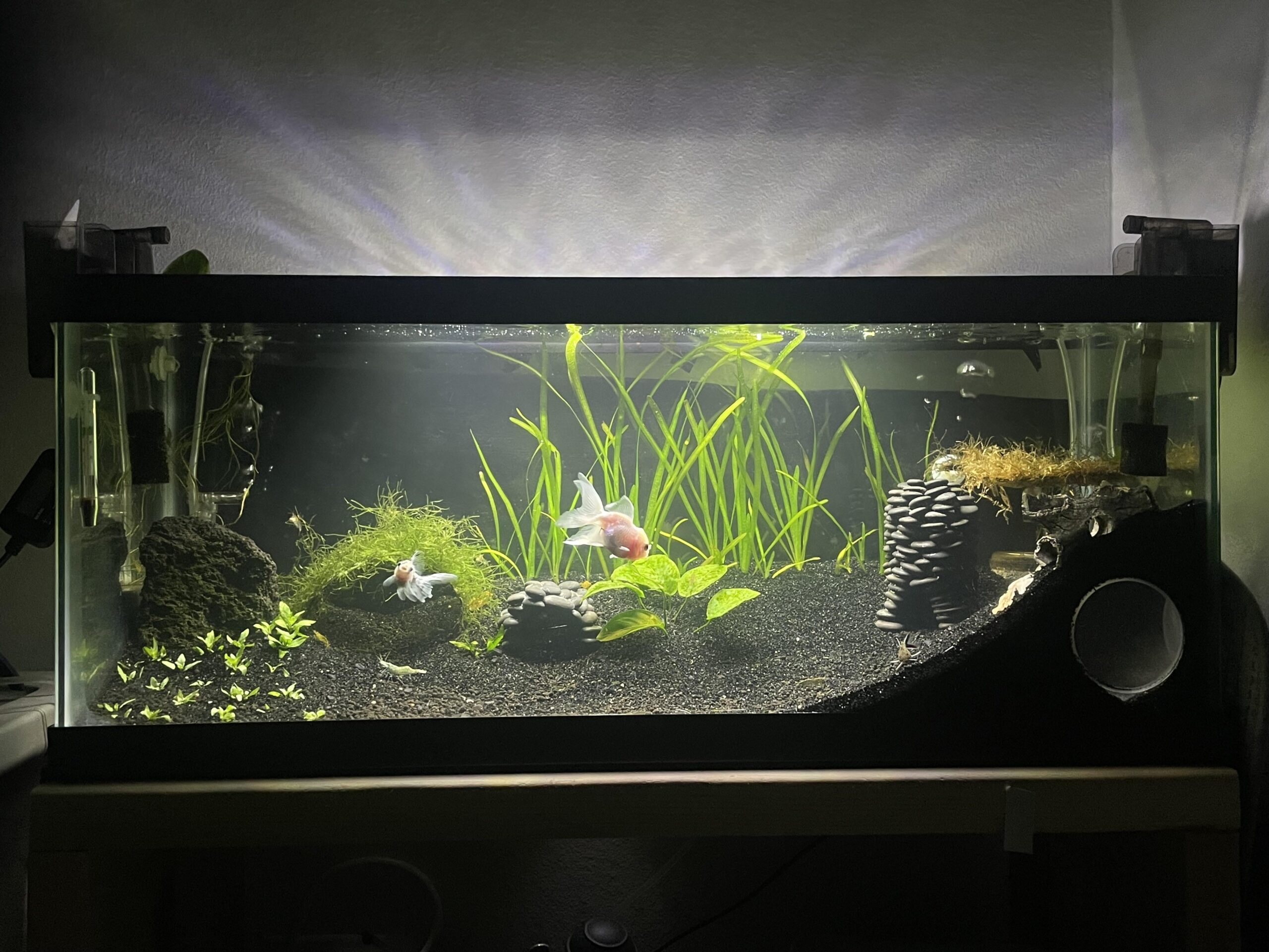 Diy Aquarium Decor