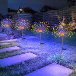 Outdoor Decorative Lights